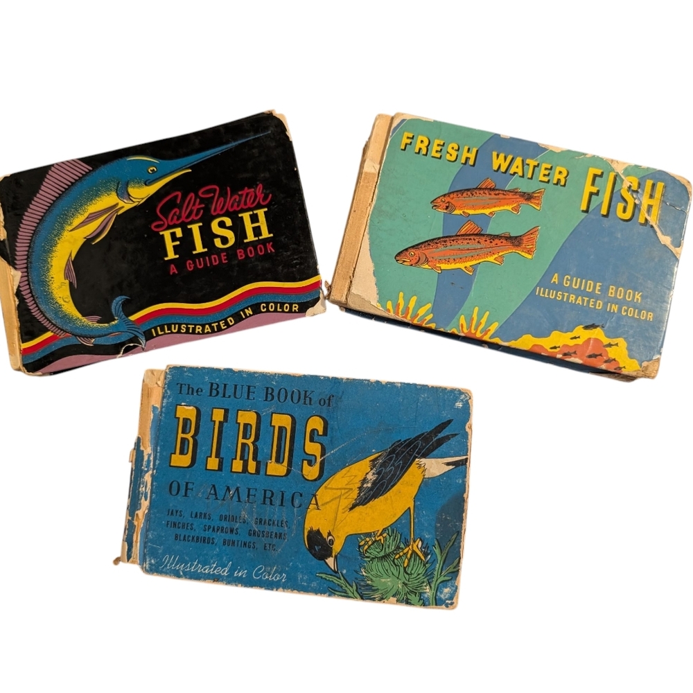 1930s Vintage Illustrated Bird & Fish Guide Books Set Nature Rare